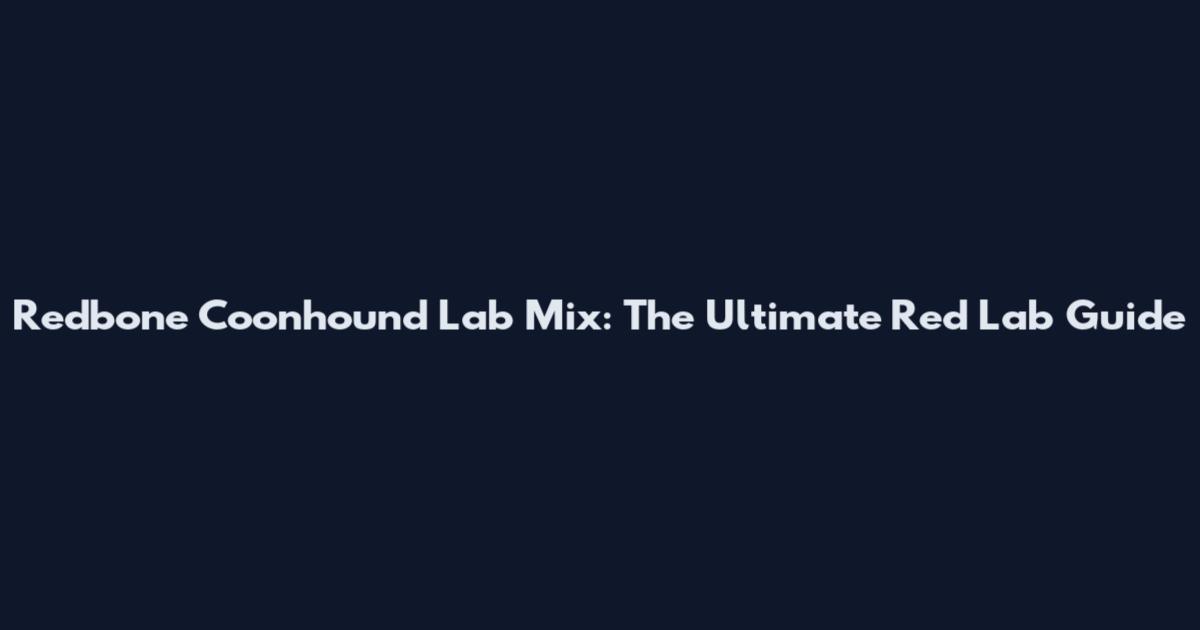 Redbone Coonhound Lab Mix: The Ultimate Red Lab Guide