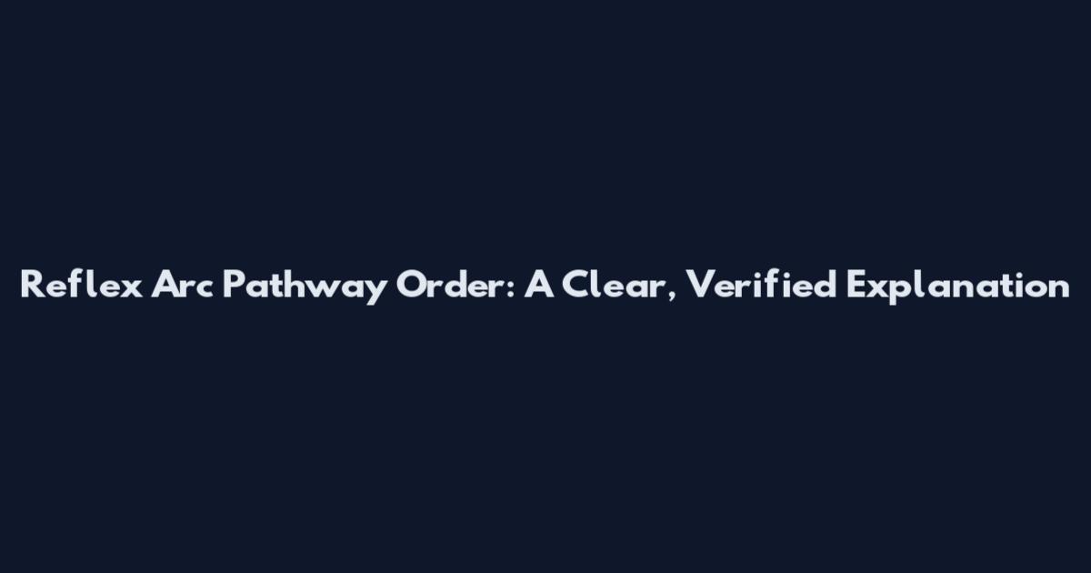 Reflex Arc Pathway Order: A Clear, Verified Explanation