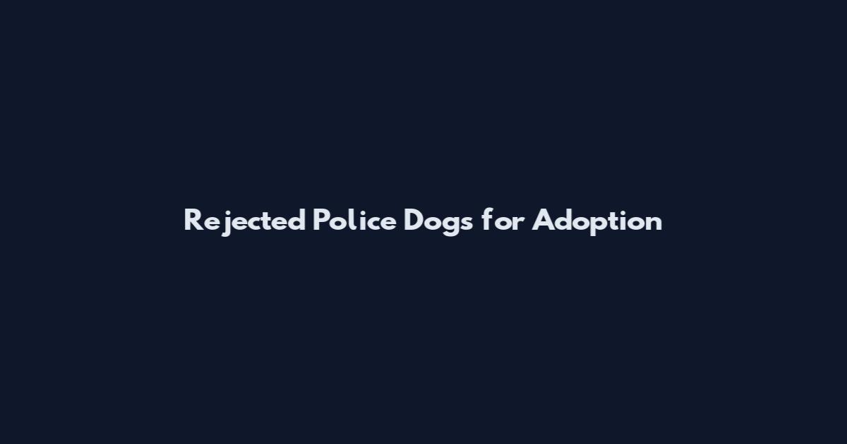 Rejected Police Dogs for Adoption