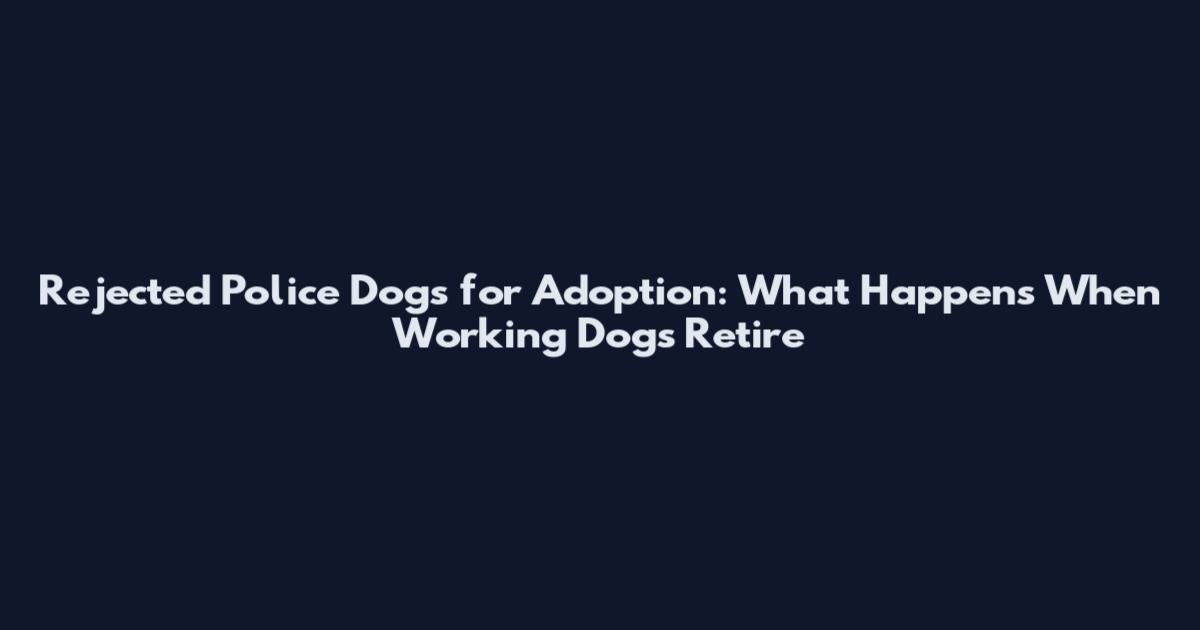 Rejected Police Dogs for Adoption: What Happens When Working Dogs Retire