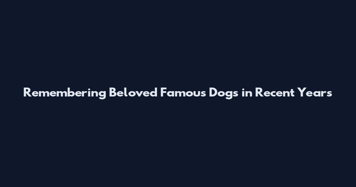 Remembering Beloved Famous Dogs in Recent Years