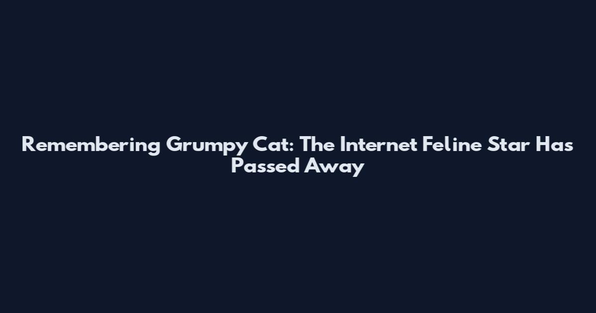Remembering Grumpy Cat: The Internet Feline Star Has Passed Away