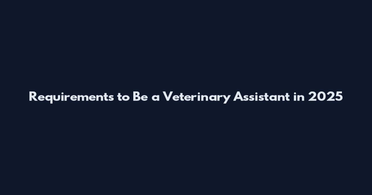 Requirements to Be a Veterinary Assistant in 2025