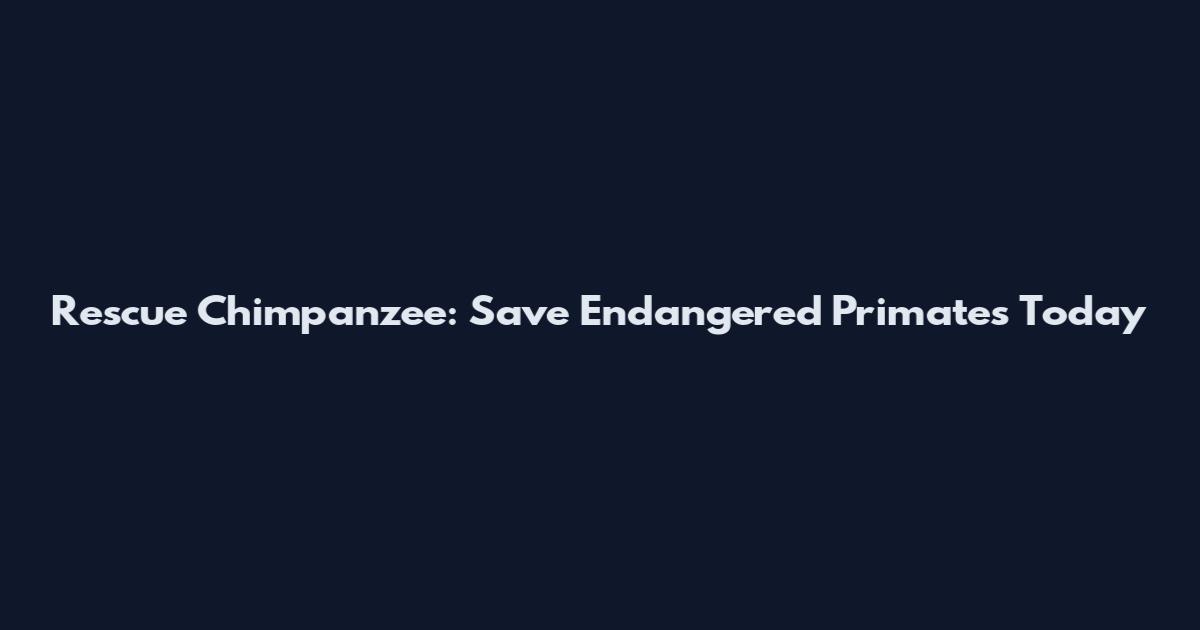 Rescue Chimpanzee: Save Endangered Primates Today
