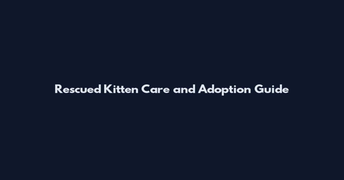 Rescued Kitten Care and Adoption Guide