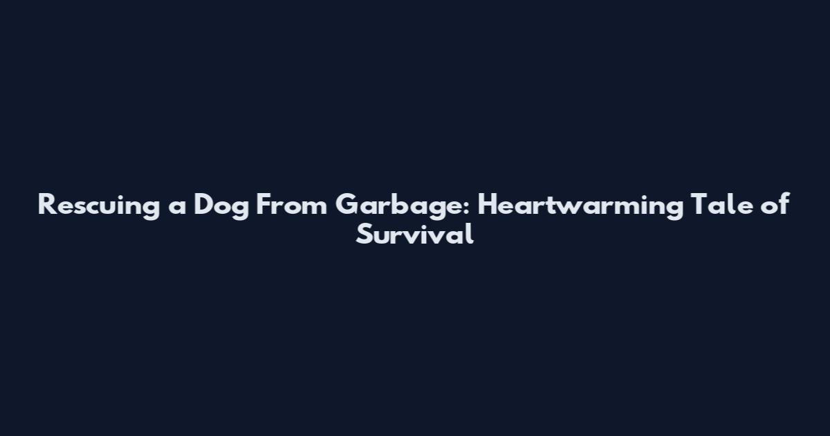 Rescuing a Dog From Garbage: Heartwarming Tale of Survival