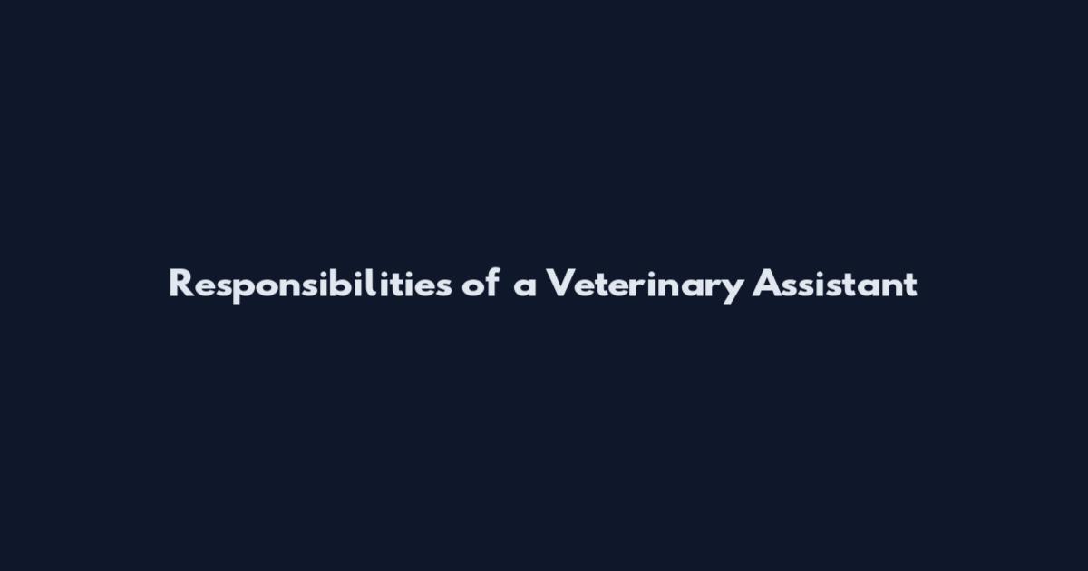 Responsibilities of a Veterinary Assistant