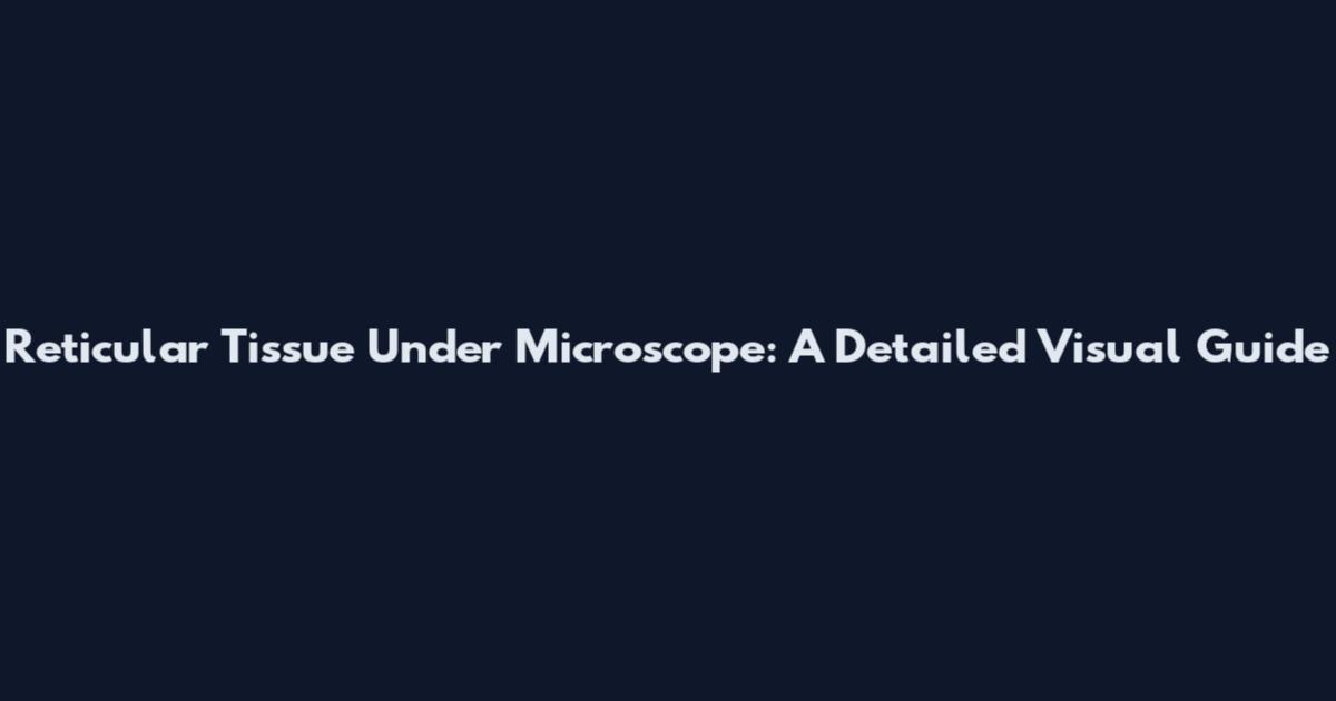 Reticular Tissue Under Microscope: A Detailed Visual Guide