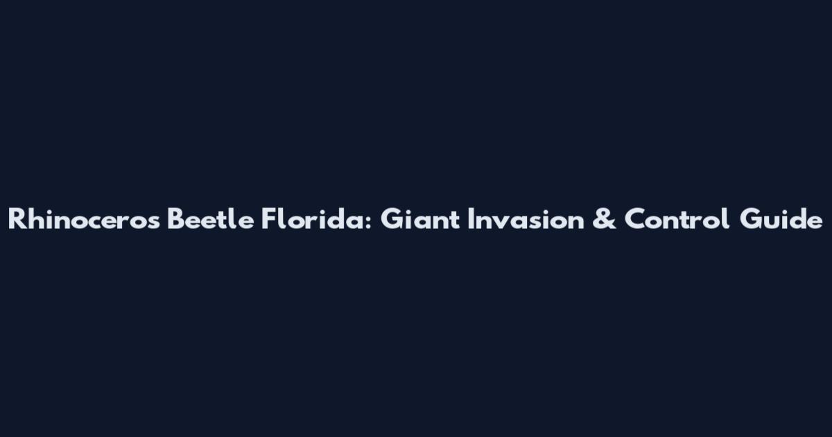 Rhinoceros Beetle Florida: Giant Invasion & Control Guide