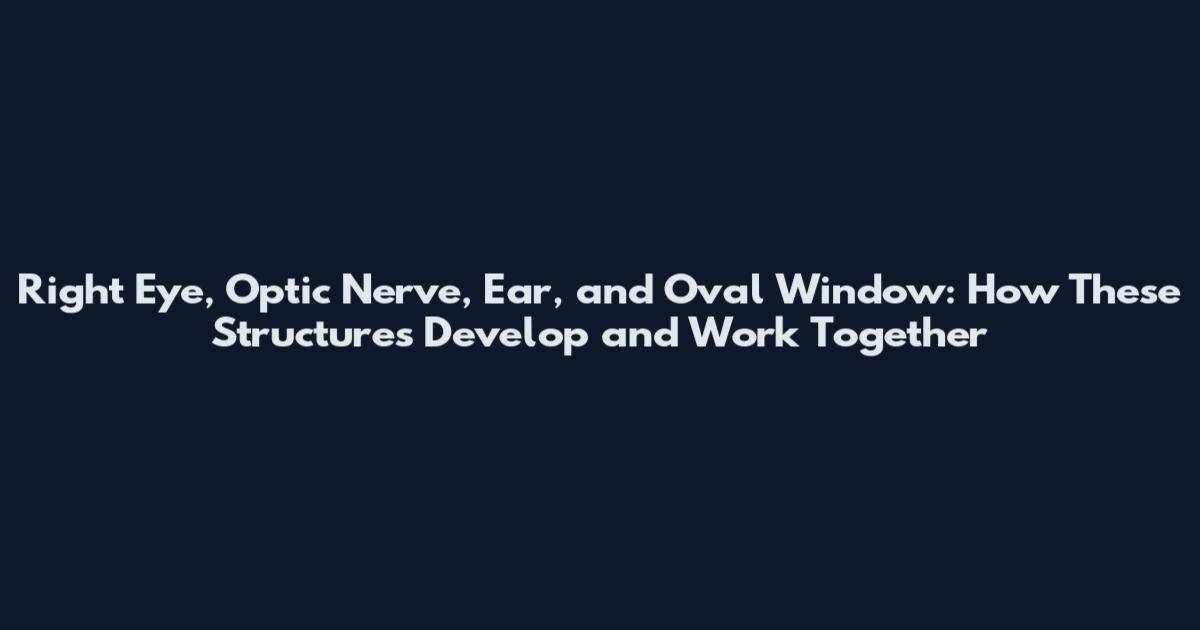 Right Eye, Optic Nerve, Ear, and Oval Window: How These Structures Develop and Work Together
