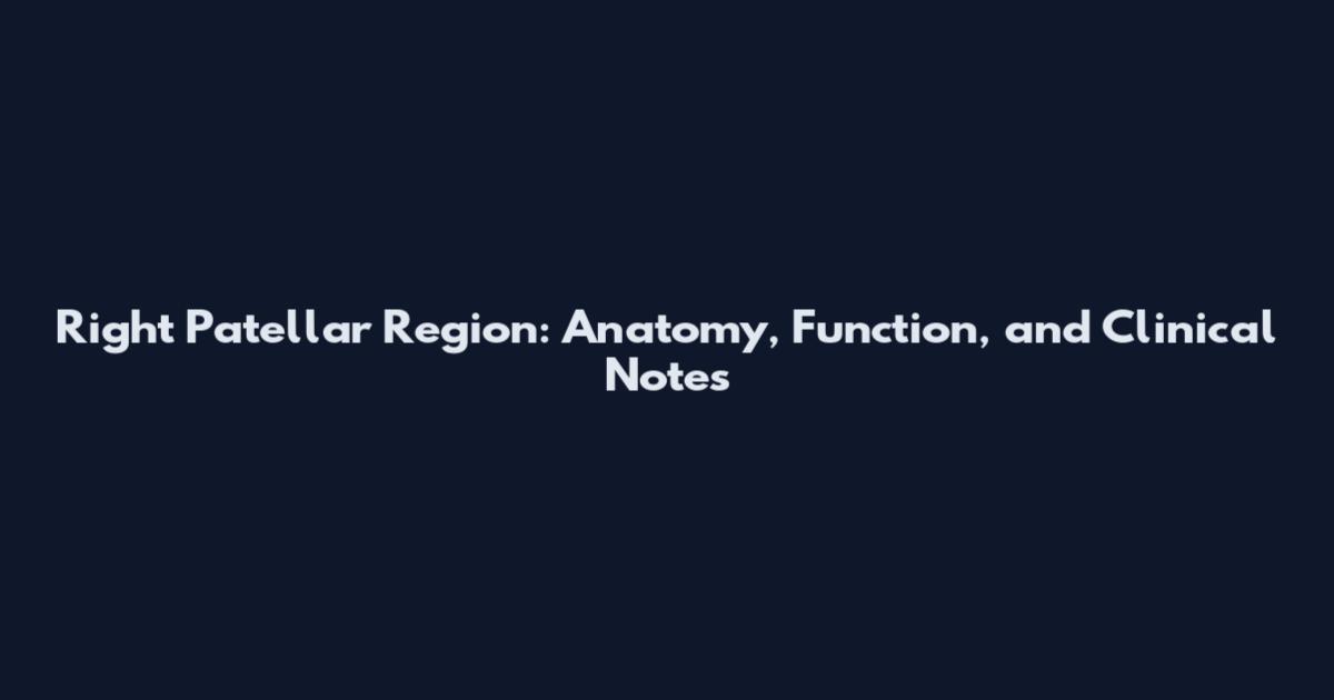 Right Patellar Region: Anatomy, Function, and Clinical Notes