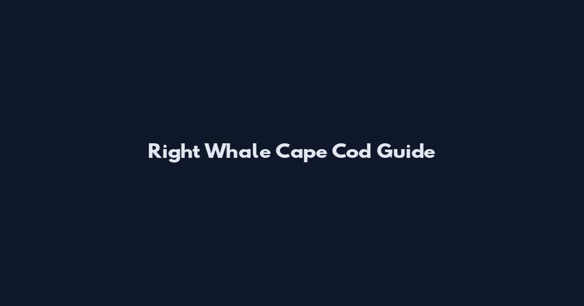 Right Whale Cape Cod Guide