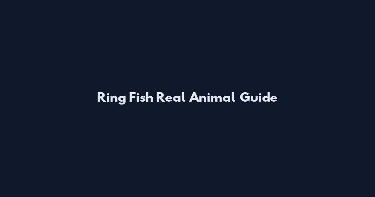 Ring Fish Real Animal Guide