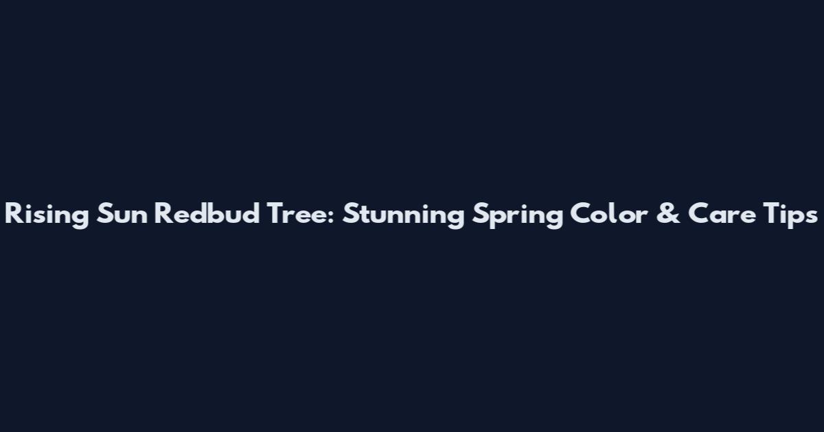 Rising Sun Redbud Tree: Stunning Spring Color & Care Tips