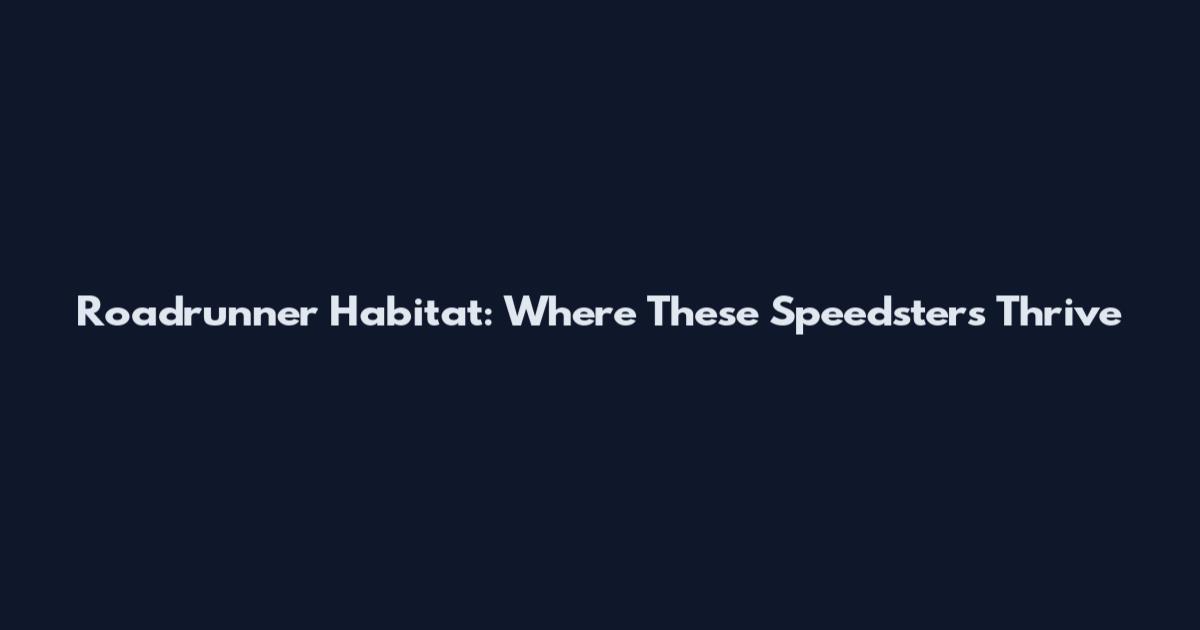 Roadrunner Habitat: Where These Speedsters Thrive