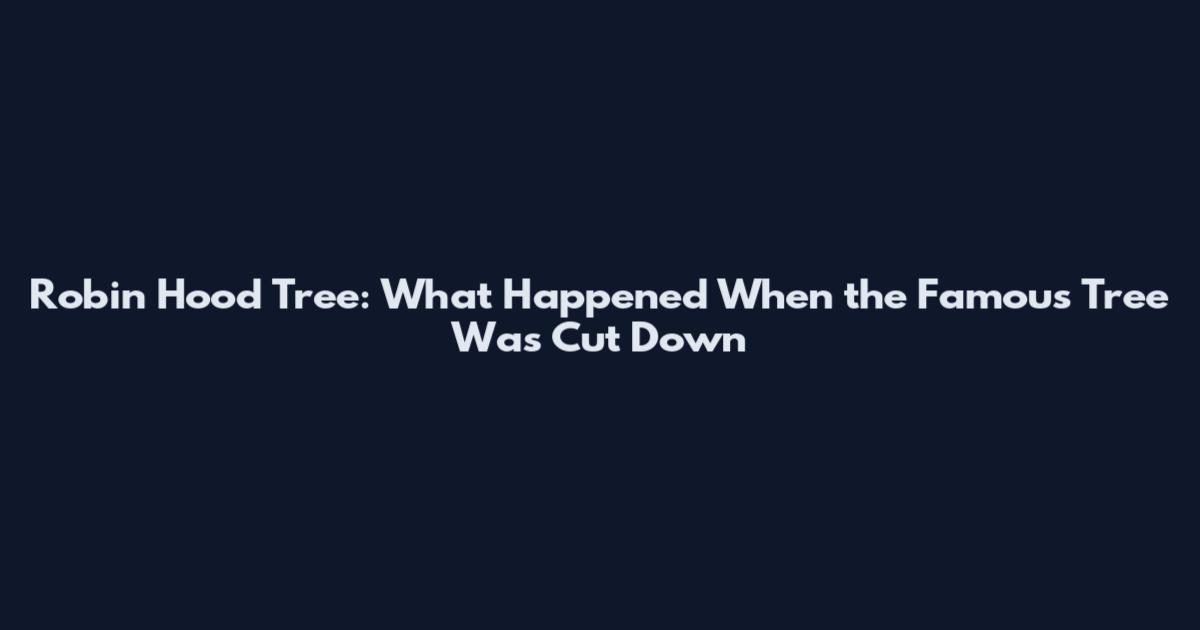 Robin Hood Tree: What Happened When the Famous Tree Was Cut Down