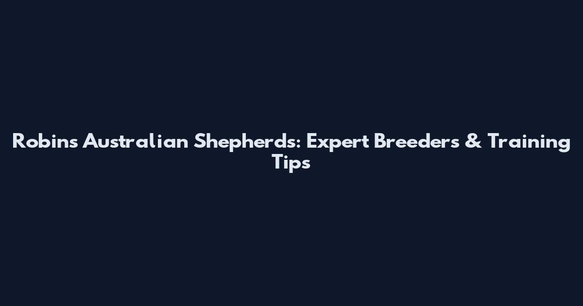Robins Australian Shepherds: Expert Breeders & Training Tips