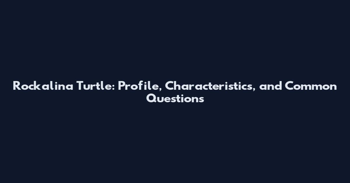 Rockalina Turtle: Profile, Characteristics, and Common Questions