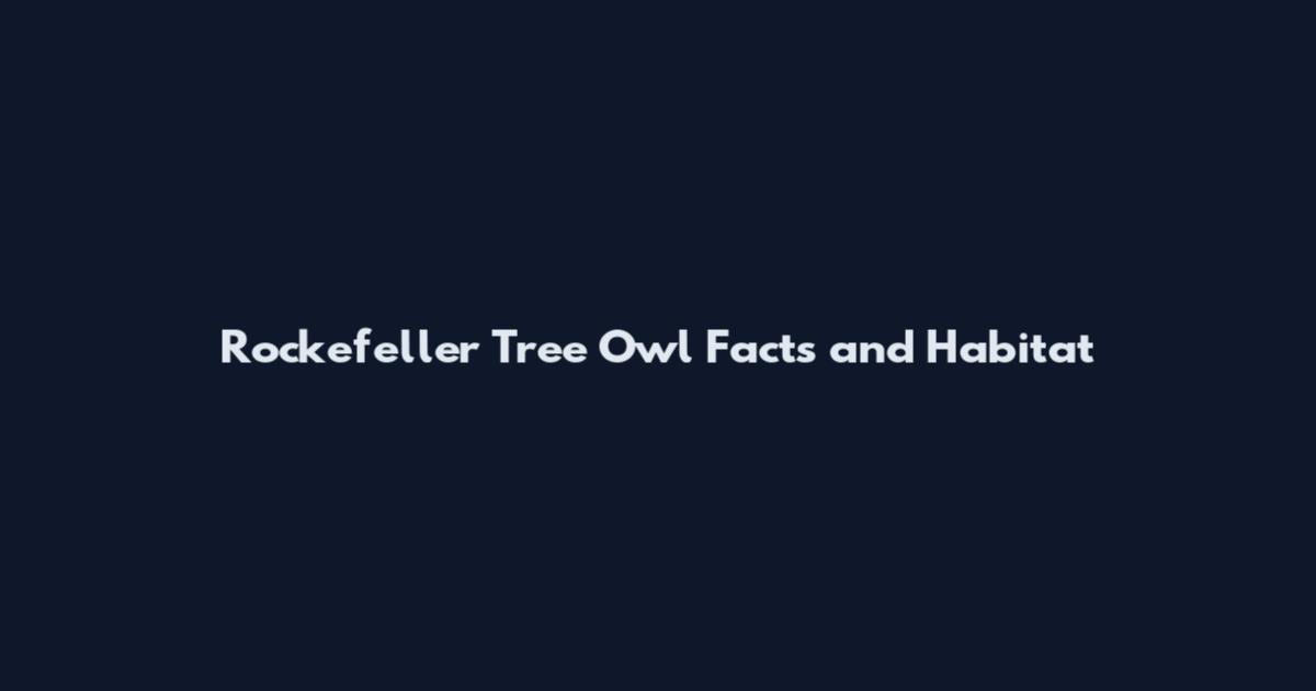 Rockefeller Tree Owl Facts and Habitat