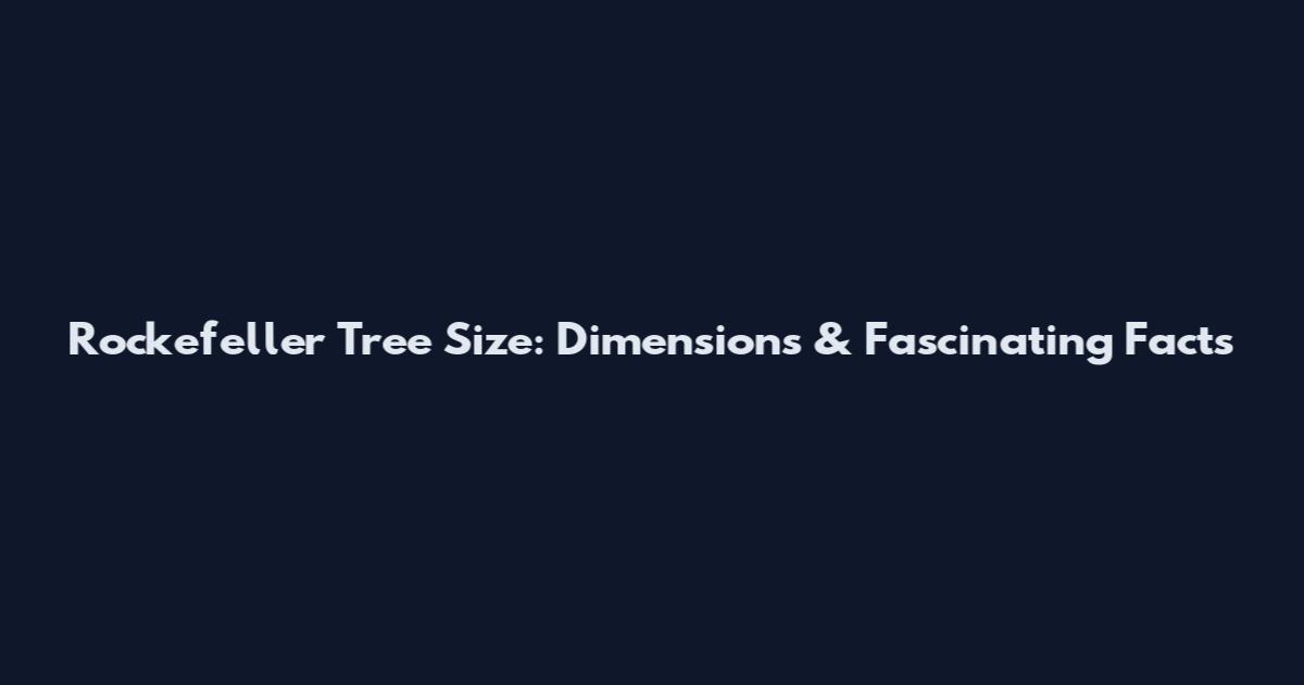 Rockefeller Tree Size: Dimensions & Fascinating Facts