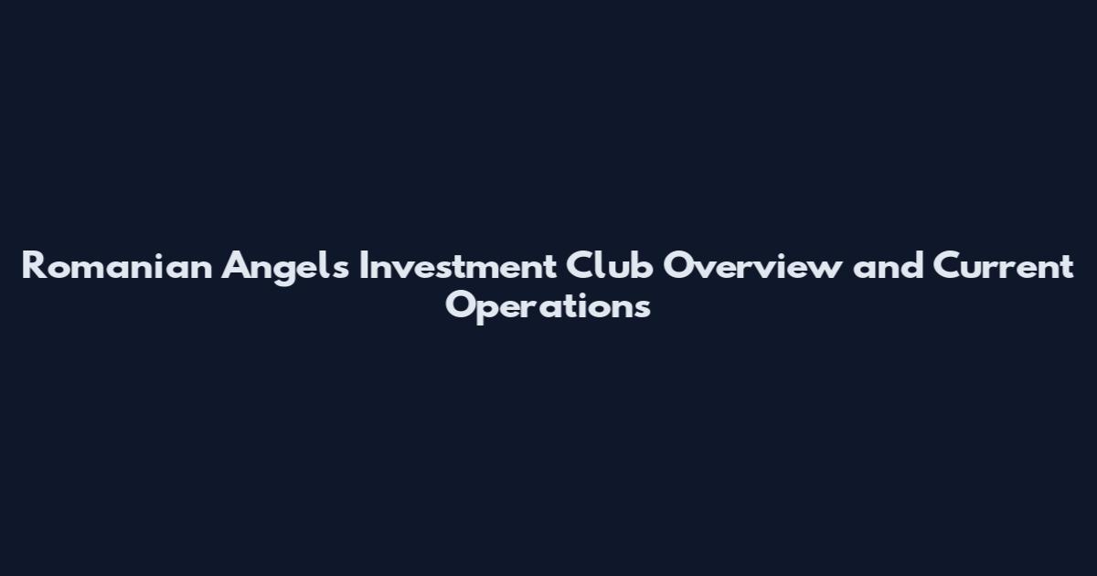 Romanian Angels Investment Club Overview and Current Operations