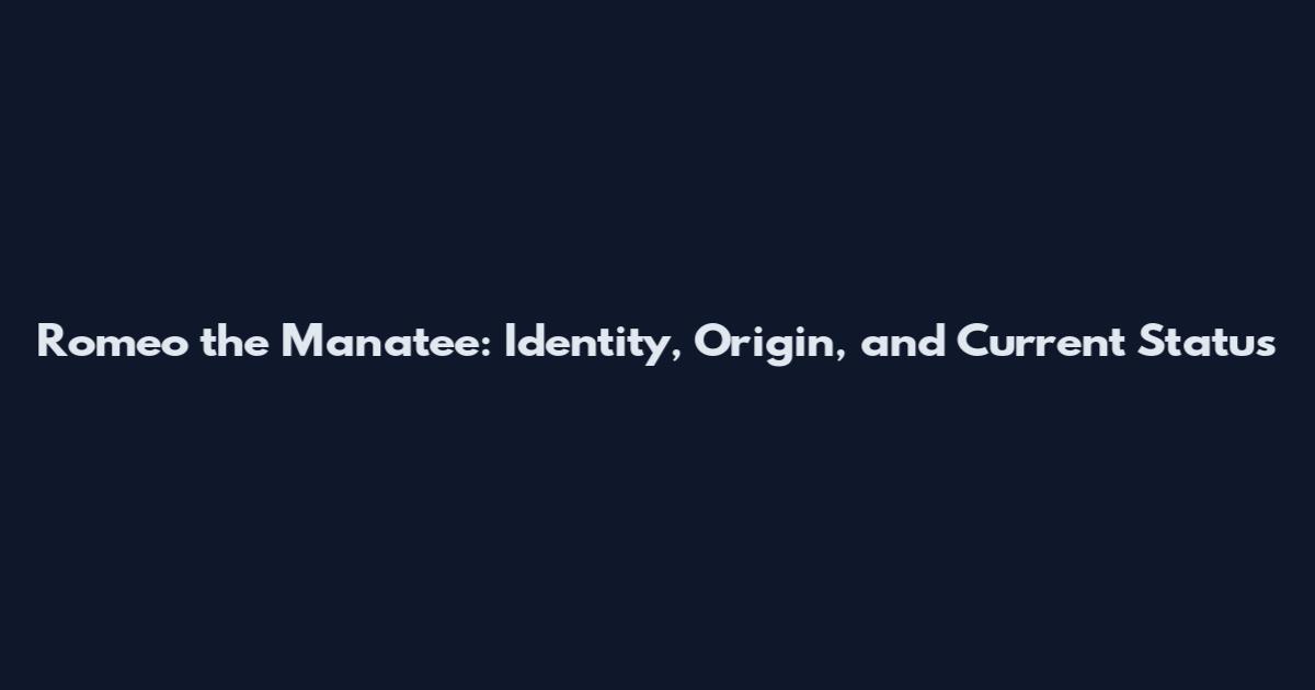 Romeo the Manatee: Identity, Origin, and Current Status