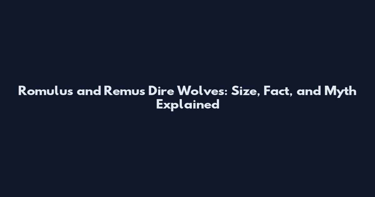 Romulus and Remus Dire Wolves: Size, Fact, and Myth Explained