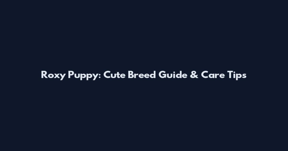 Roxy Puppy: Cute Breed Guide & Care Tips