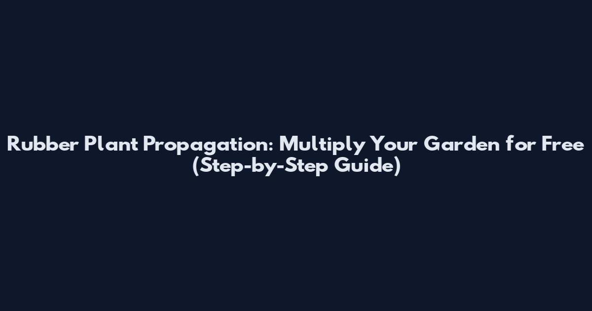 Rubber Plant Propagation: Multiply Your Garden for Free (Step-by-Step Guide)