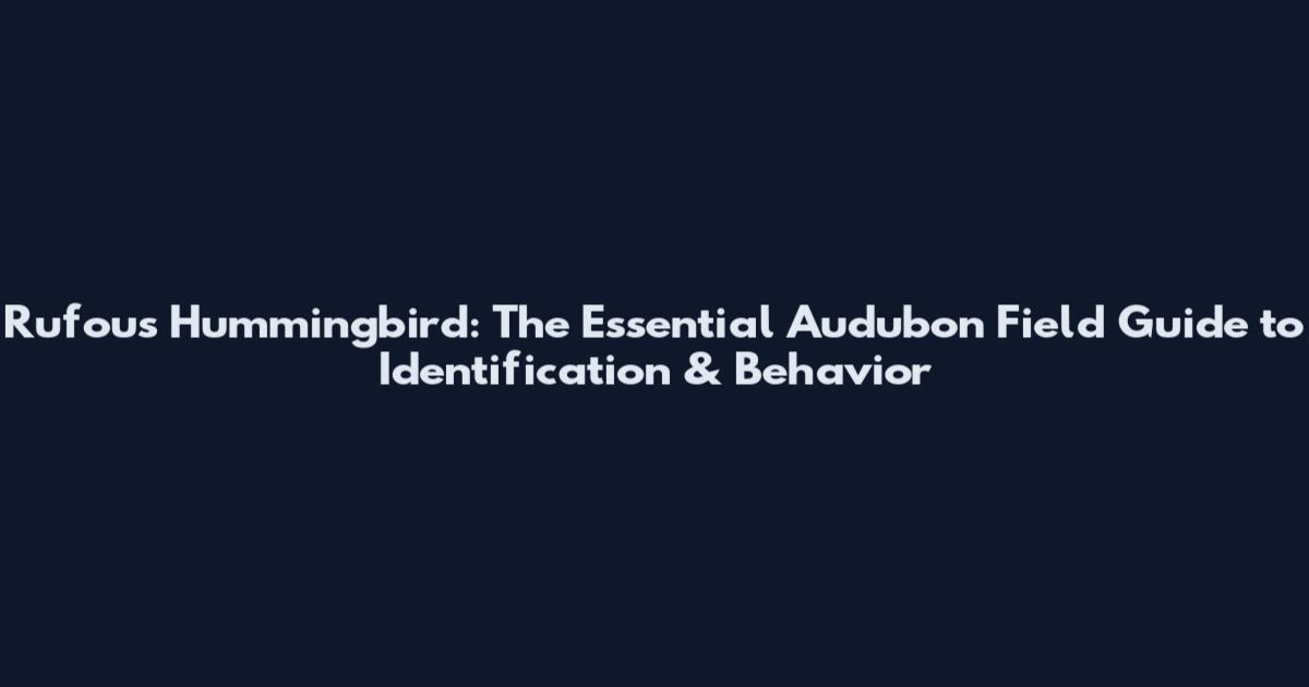 Rufous Hummingbird: The Essential Audubon Field Guide to Identification & Behavior