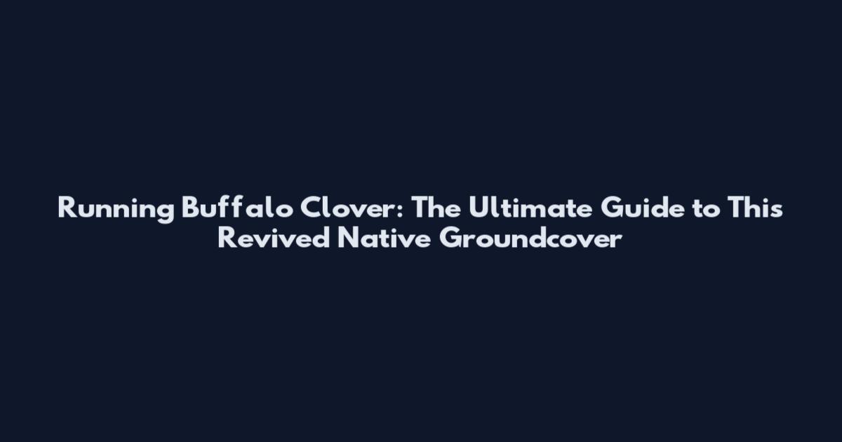 Running Buffalo Clover: The Ultimate Guide to This Revived Native Groundcover