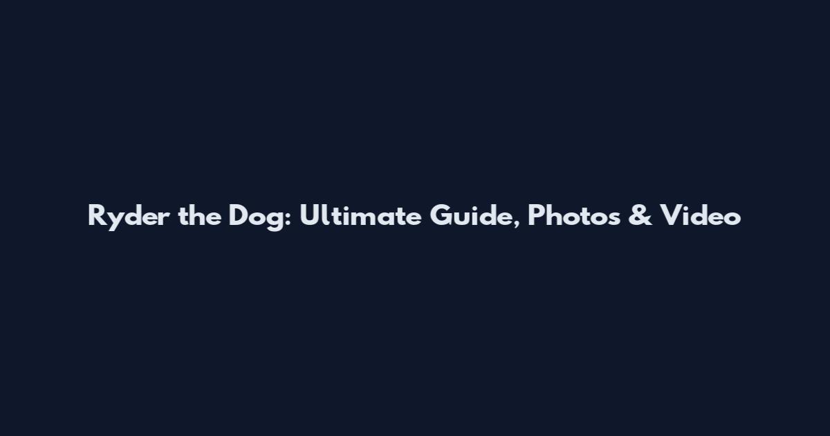 Ryder the Dog: Ultimate Guide, Photos & Video