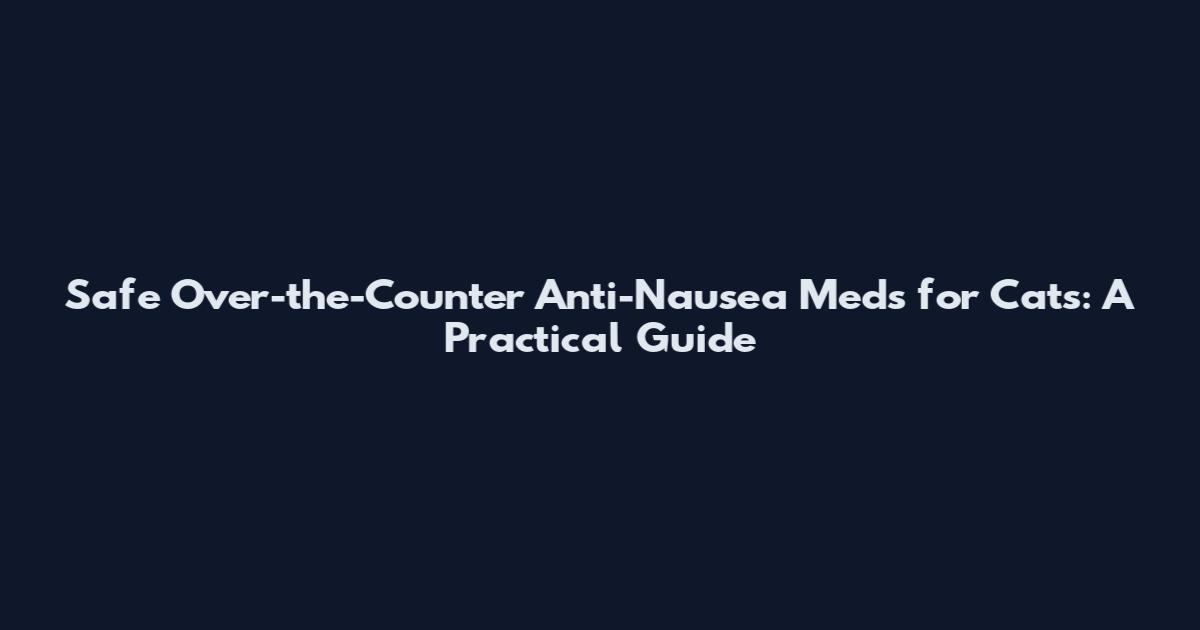 Safe Over-the-Counter Anti-Nausea Meds for Cats: A Practical Guide