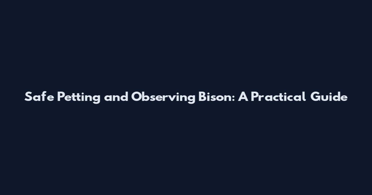 Safe Petting and Observing Bison: A Practical Guide