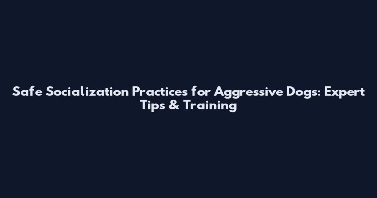 Safe Socialization Practices for Aggressive Dogs: Expert Tips & Training