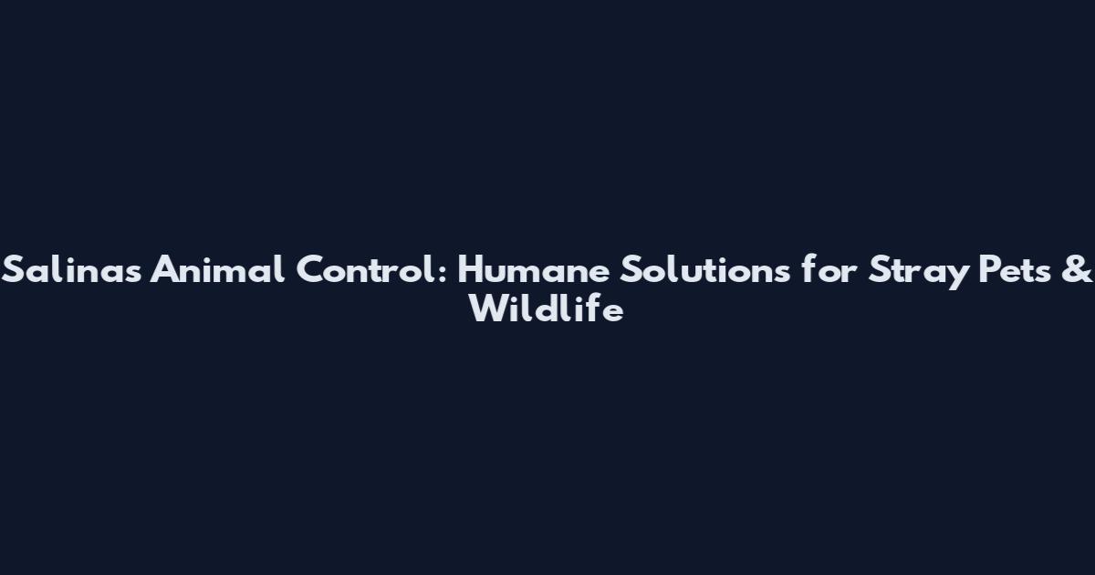Salinas Animal Control: Humane Solutions for Stray Pets & Wildlife