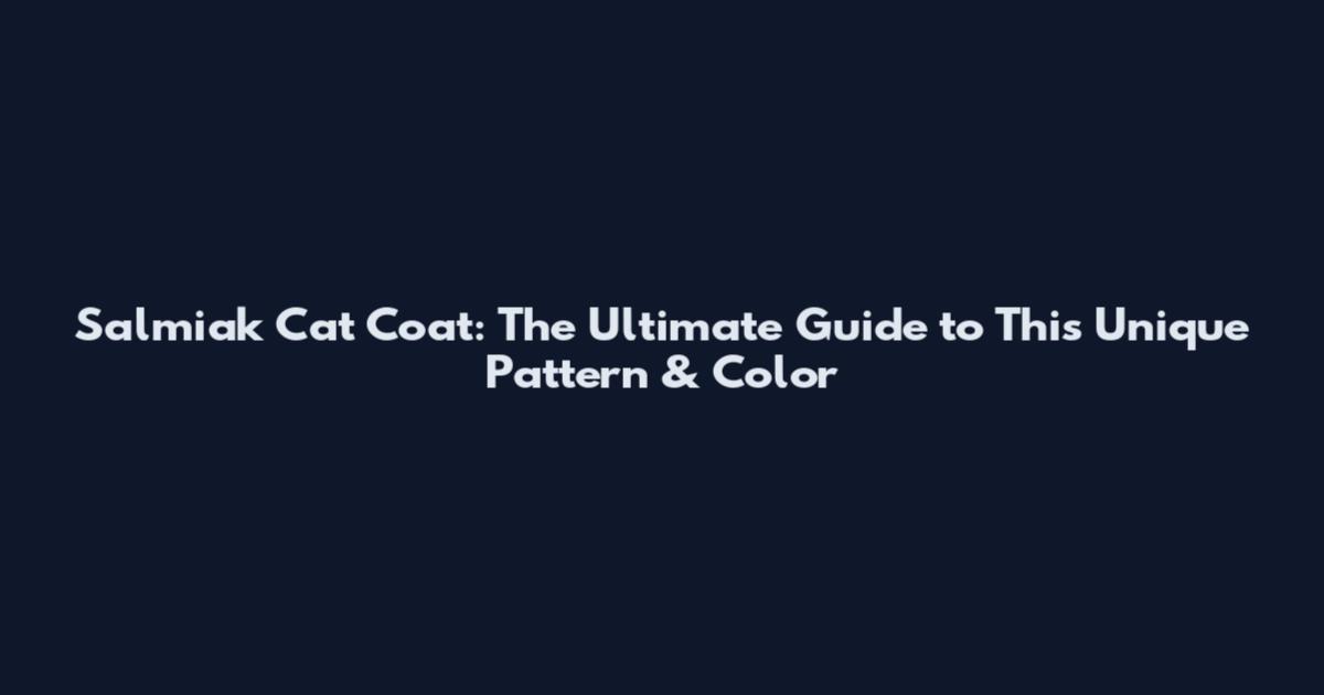 Salmiak Cat Coat: The Ultimate Guide to This Unique Pattern & Color