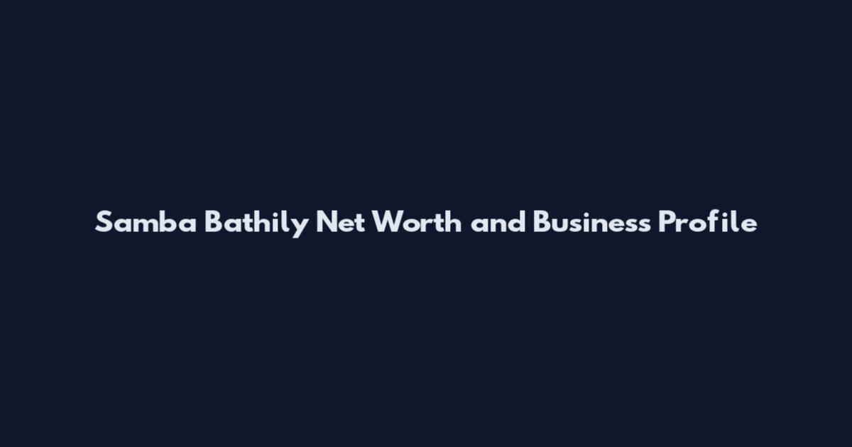 Samba Bathily Net Worth and Business Profile