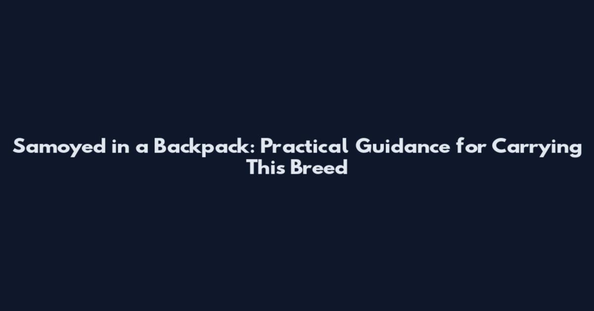 Samoyed in a Backpack: Practical Guidance for Carrying This Breed