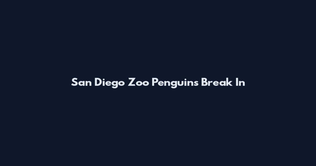 San Diego Zoo Penguins Break In