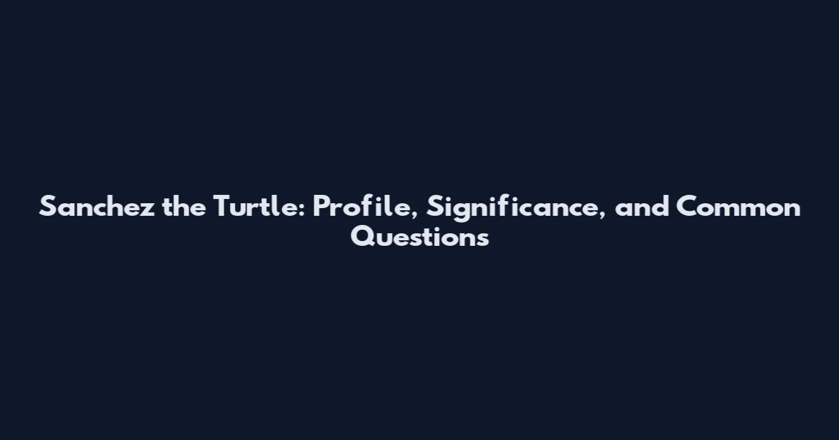 Sanchez the Turtle: Profile, Significance, and Common Questions