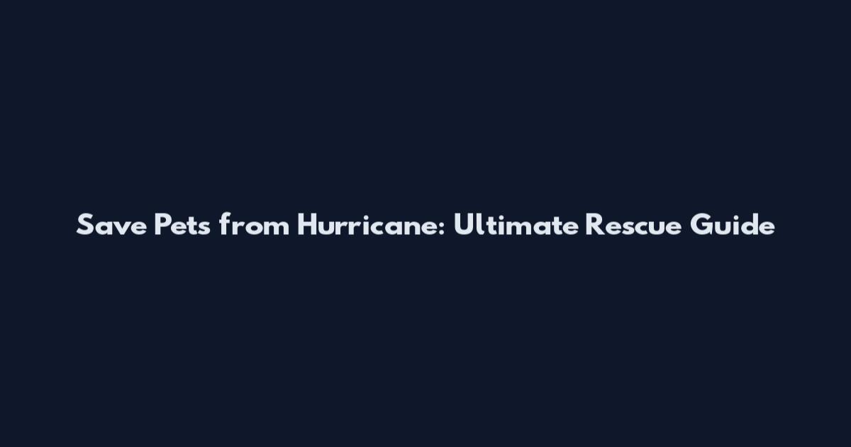 Save Pets from Hurricane: Ultimate Rescue Guide