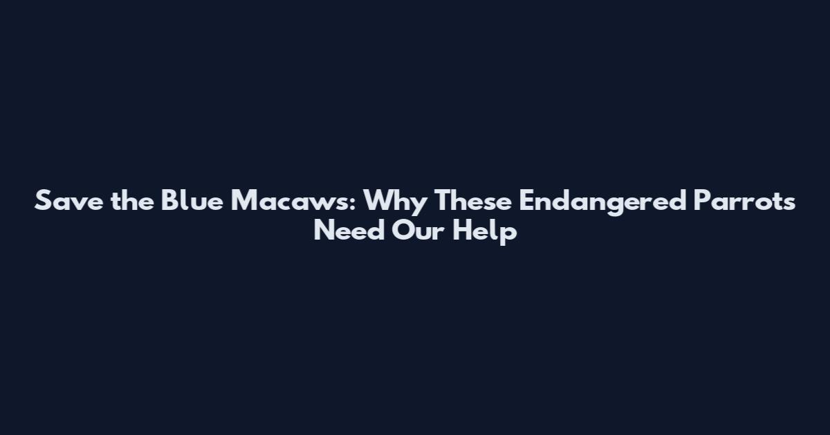 Save the Blue Macaws: Why These Endangered Parrots Need Our Help