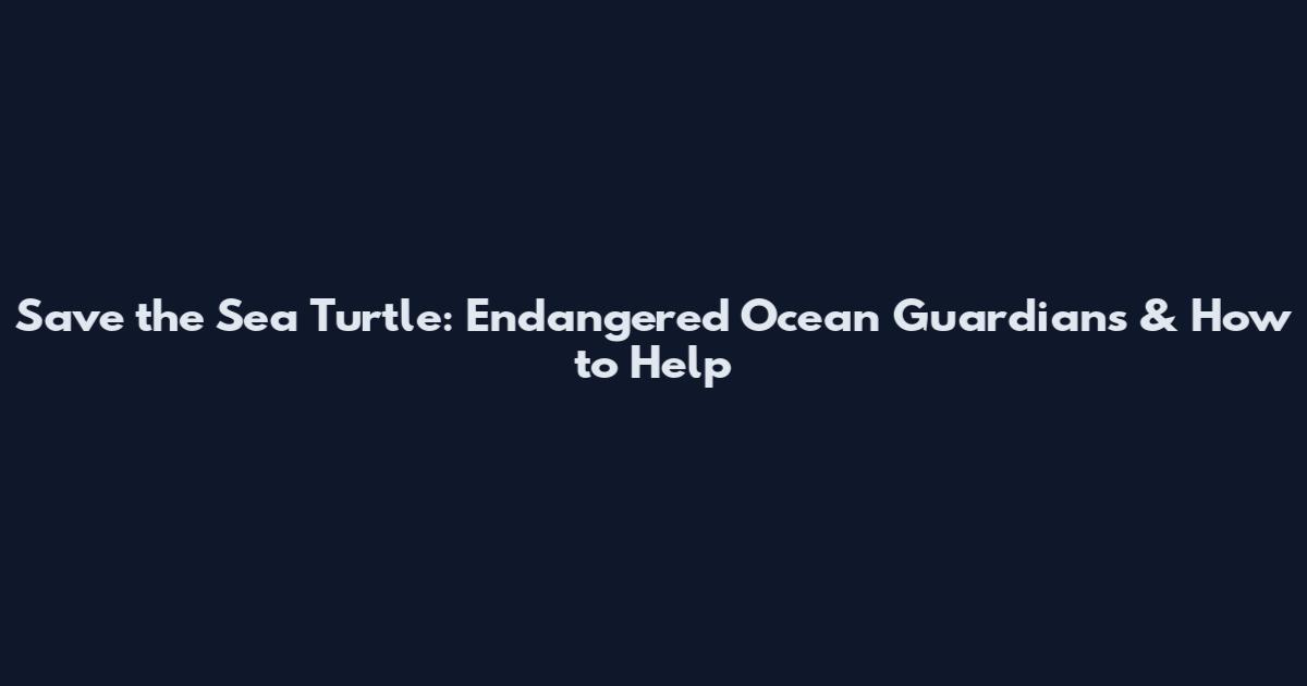 Save the Sea Turtle: Endangered Ocean Guardians & How to Help