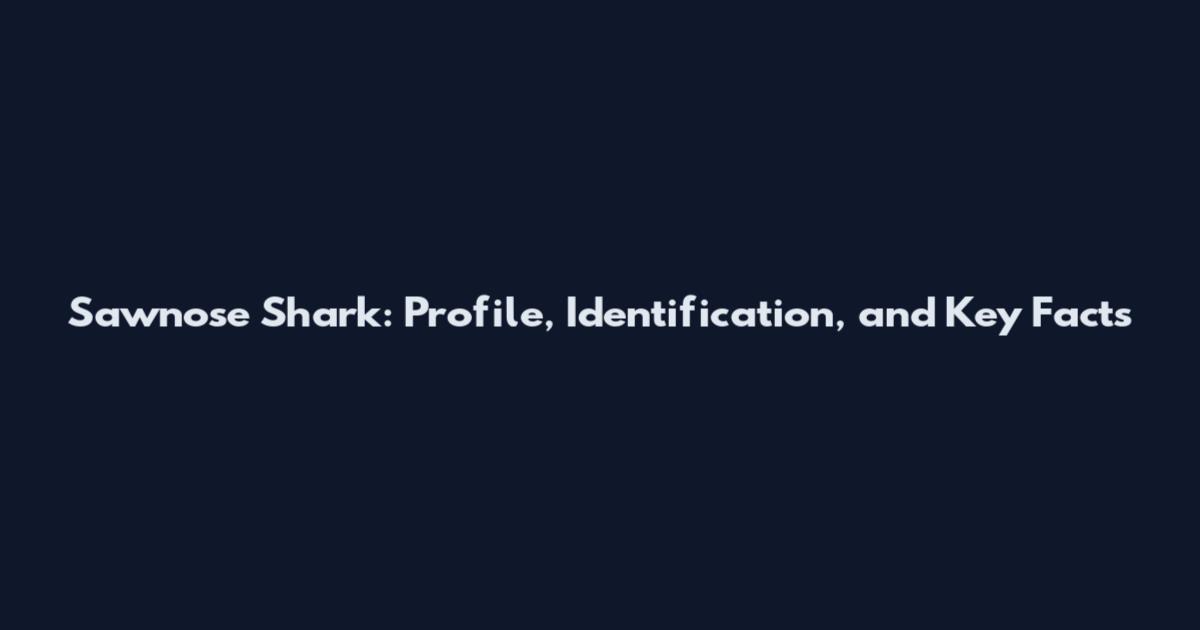 Sawnose Shark: Profile, Identification, and Key Facts