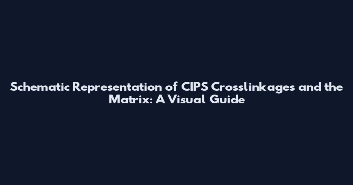 Schematic Representation of CIPS Crosslinkages and the Matrix: A Visual Guide