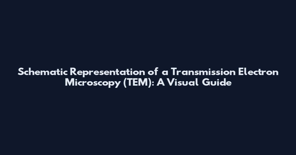 Schematic Representation of a Transmission Electron Microscopy (TEM): A Visual Guide