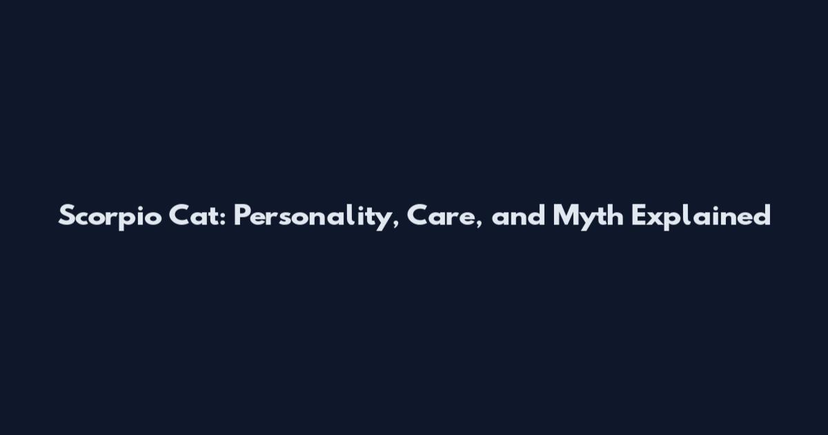 Scorpio Cat: Personality, Care, and Myth Explained