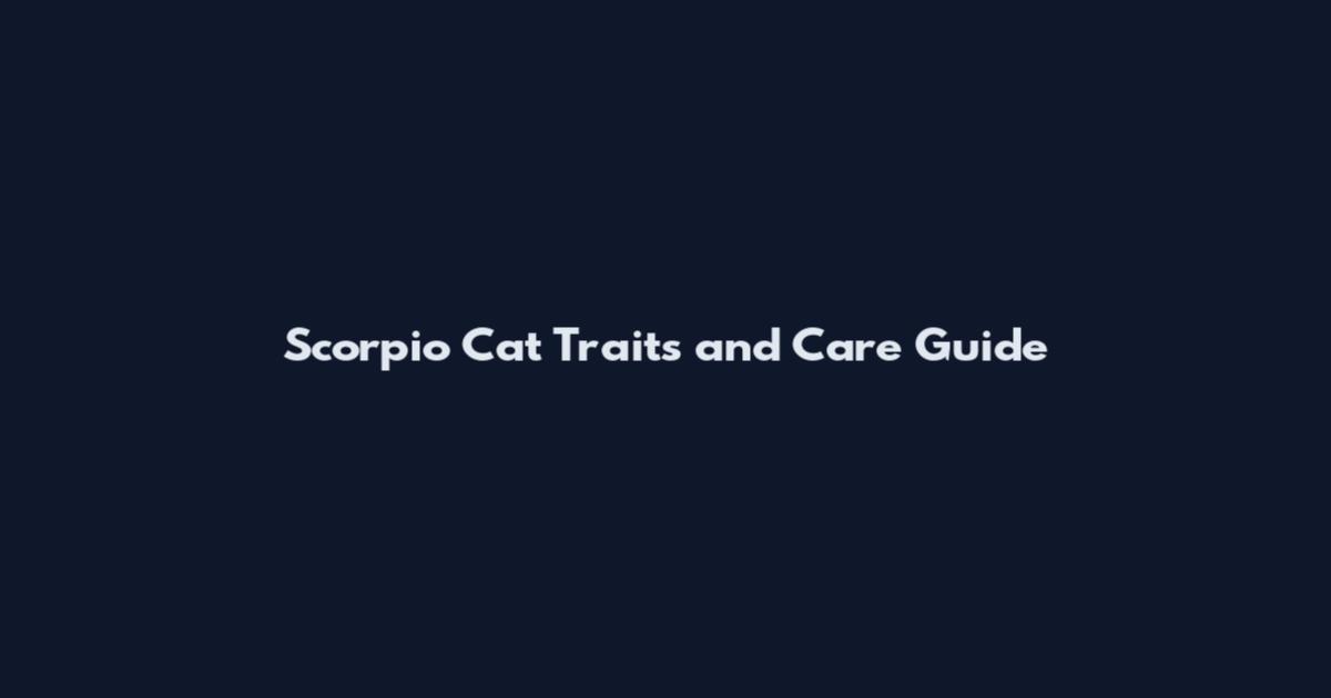 Scorpio Cat Traits and Care Guide