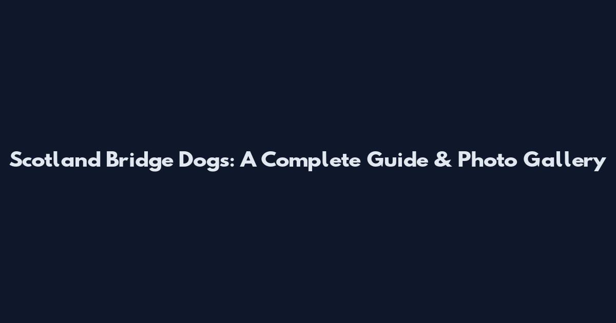 Scotland Bridge Dogs: A Complete Guide & Photo Gallery